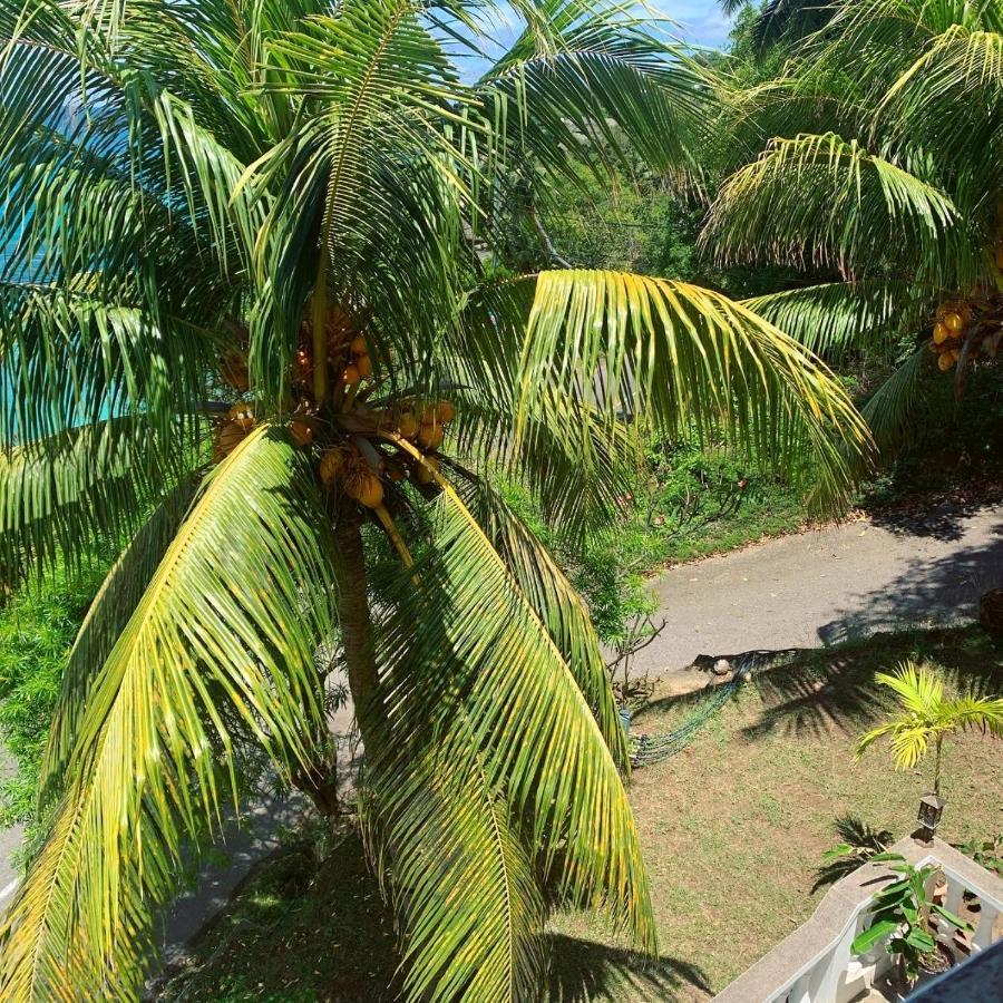 Epea Ocean View Apartment Tortoise Machabee 外观 照片