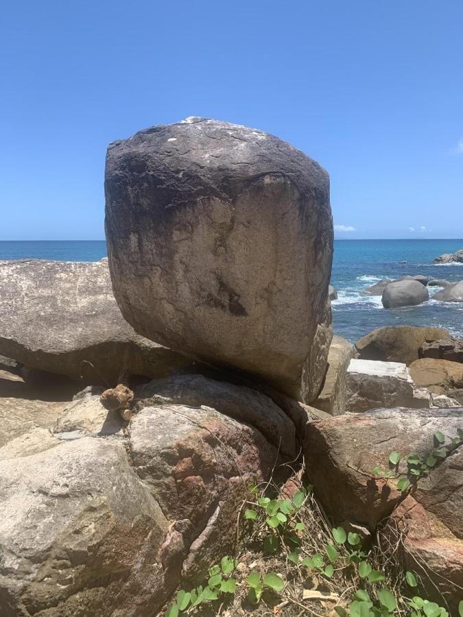 Epea Ocean View Apartment Tortoise Machabee 外观 照片